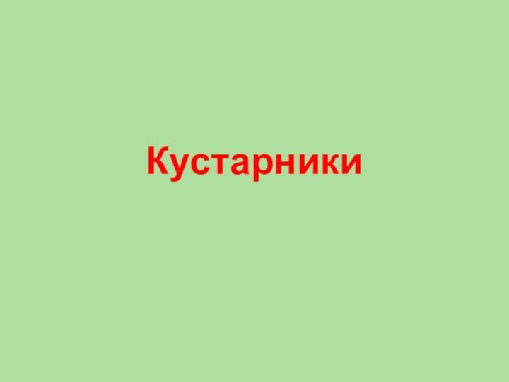 Кустарники