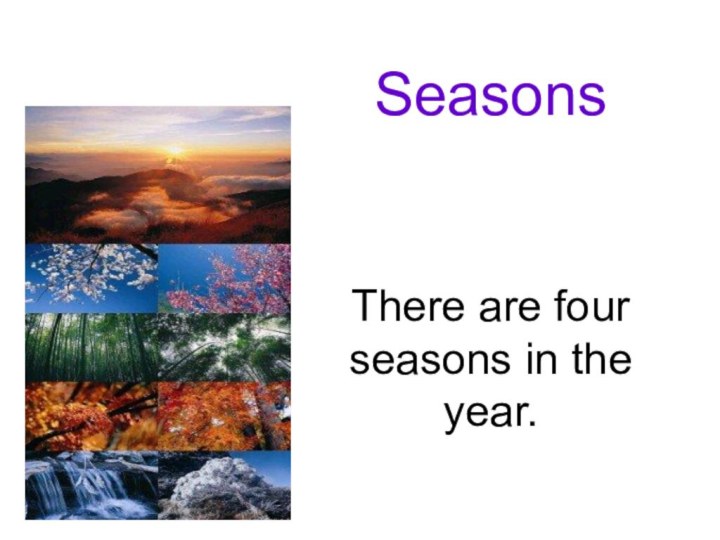 Seasons There are four seasons in the year.