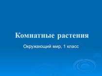 комнатные растения, окружающий мир, 1 класс презентация к уроку по окружающему миру (1 класс) по теме