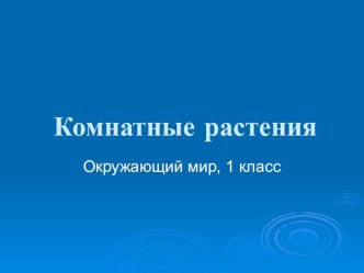 комнатные растения, окружающий мир, 1 класс презентация к уроку по окружающему миру (1 класс) по теме