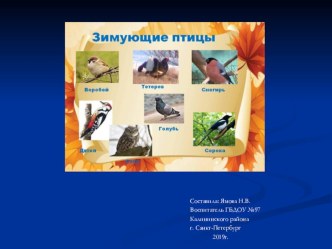 Презентация Зимующие птицы презентация к уроку по окружающему миру (старшая группа)