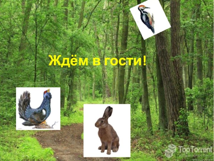 Ждём в гости!