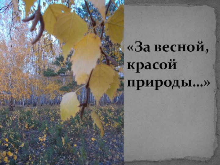 «За весной, красой природы…»