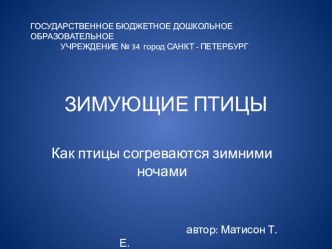 Зимующие птицы презентация к занятию по окружающему миру (старшая группа)