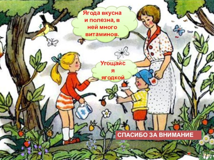 Угощайся ягодкойЯгода вкусна и полезна, в ней много витаминов.СПАСИБО ЗА ВНИМАНИЕ