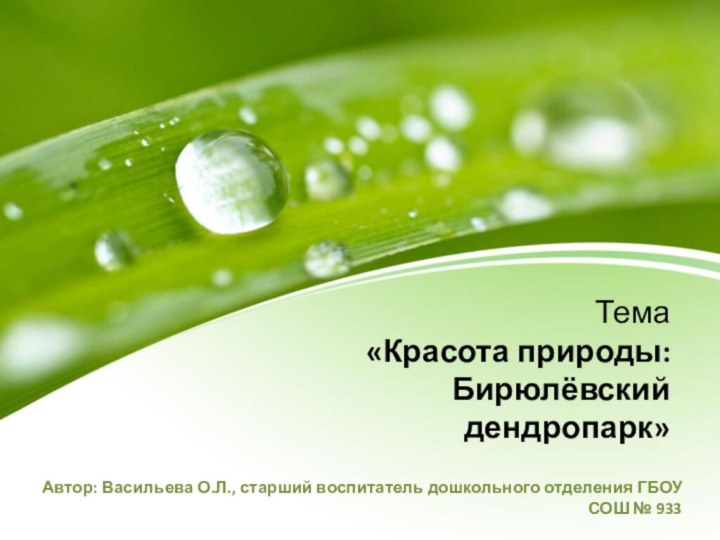 Тема «Красота природы: Бирюлёвский дендропарк»Автор: Васильева О.Л., старший воспитатель дошкольного отделения ГБОУ СОШ № 933