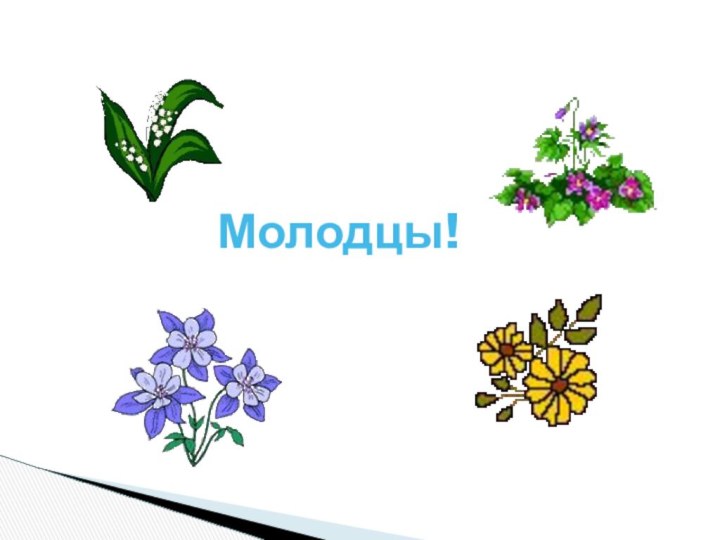 Молодцы!