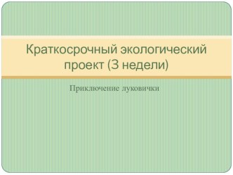 Экологический проект Приключения луковички презентация к уроку по конструированию, ручному труду (младшая группа)