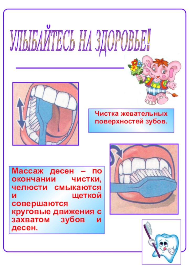 Чистка жевательных поверхностей зубов.Массаж десен – по окончании чистки, челюсти смыкаются и