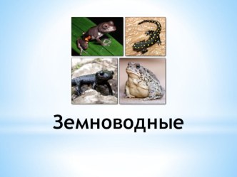 Урок окружающего мира в 1 классе Лягушка. Кто она? план-конспект урока по окружающему миру (1 класс)