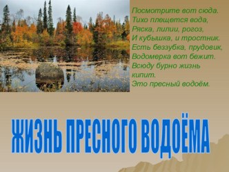 ЖИЗНЬ ПРЕСНОГО ВОДОЁМА презентация к уроку по окружающему миру (4 класс)