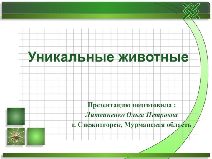 Презентацию подготовила : Литвиненко Ольга Петровнаг. Снежногорск, Мурманская областьУникальные животные