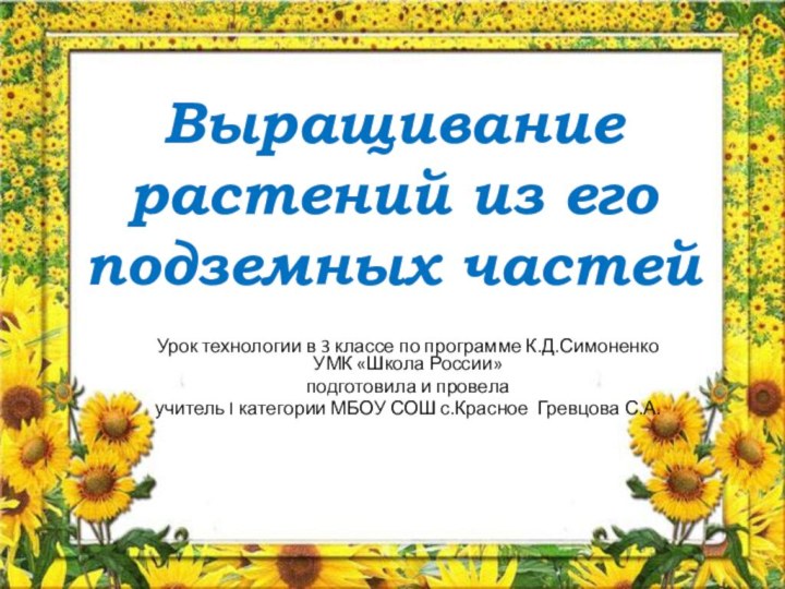 Выращивание растений из его подземных частей Урок технологии в 3 классе по