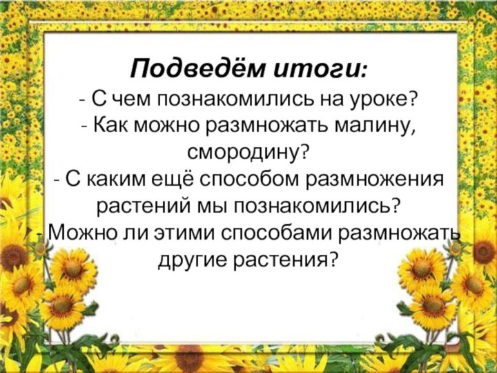 Подведём итоги: - С чем познакомились на уроке? - Как можно размножать