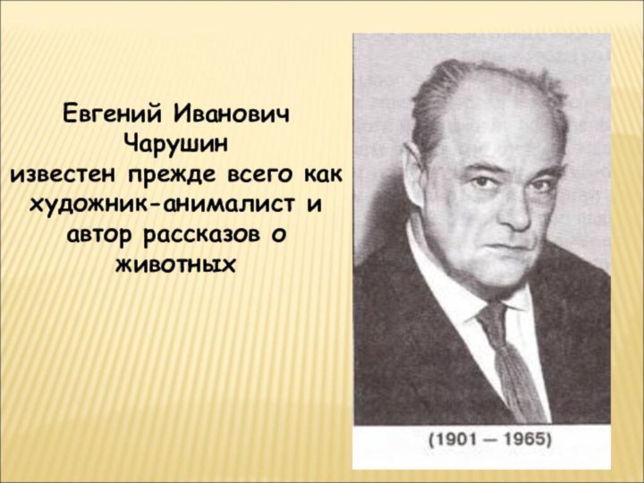 Евгений Иванович Чарушин известен прежде всего как художник-анималист и автор рассказов о животных