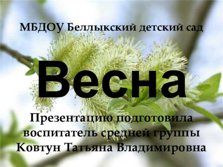 МБДОУ Беллыкский детский сад  Весна  Презентацию подготовила  воспитатель средней