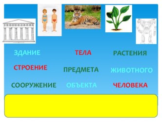 строение тела человека часть 1