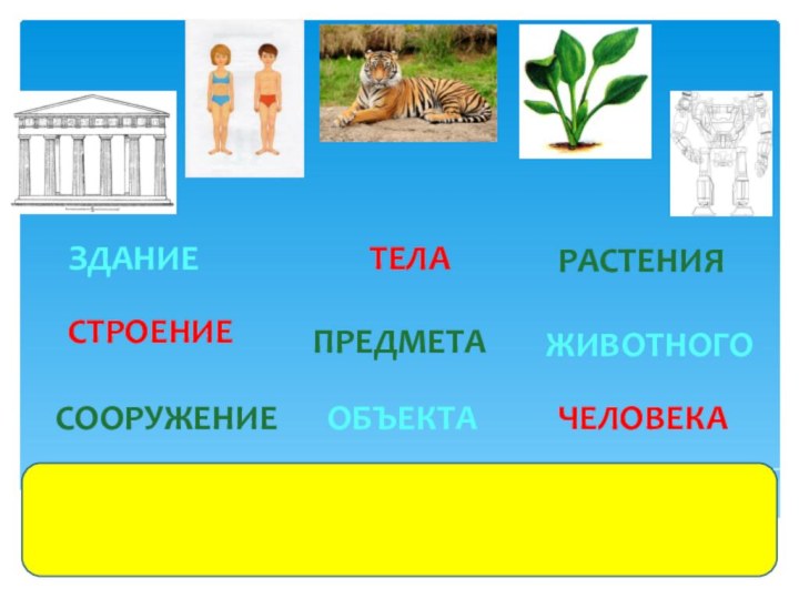 СТРОЕНИЕЗДАНИЕСООРУЖЕНИЕТЕЛАПРЕДМЕТАОБЪЕКТАРАСТЕНИЯЧЕЛОВЕКАЖИВОТНОГО