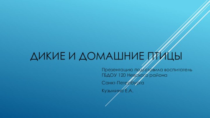 Дикие и домашние птицыПрезентацию подготовила воспитатель ГБДОУ 120 Невского районаСанкт-ПетербургаКузьмина Е.А.