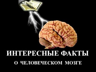 Интересные факты о человеческом мозге план-конспект