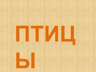 Птицы презентация для младших дошкольников презентация к занятию по окружающему миру (младшая группа)