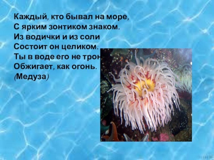 Каждый, кто бывал на море,С ярким зонтиком знаком.Из водички и из солиСостоит