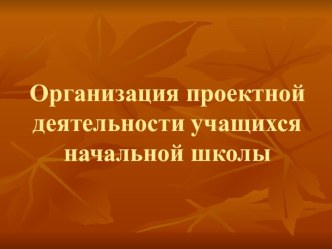 Организация проектной деятельности учащихся начальной школы презентация к уроку