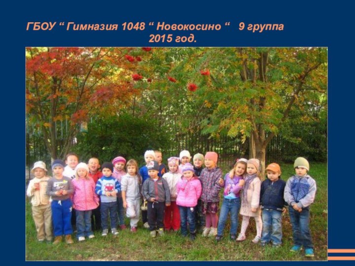 ГБОУ “ Гимназия 1048 “ Новокосино “  9 группа