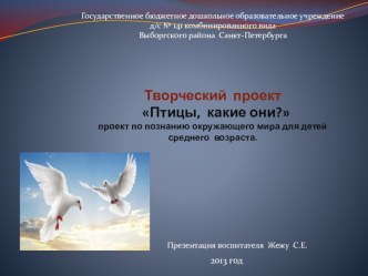 Птицы. Какие они? проект по окружающему миру (младшая группа)