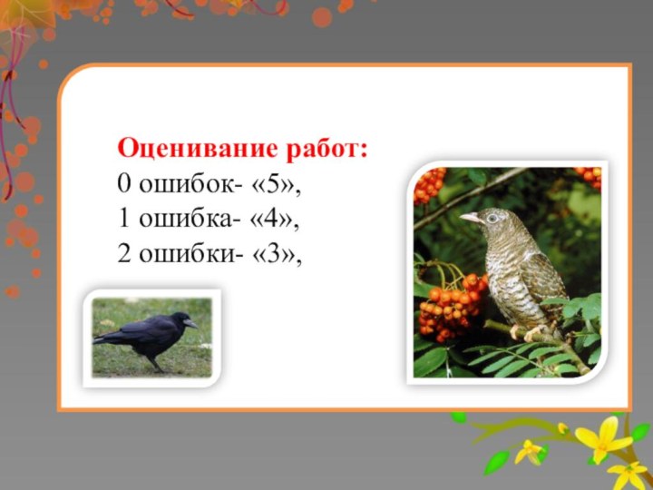 Оценивание работ:0 ошибок- «5», 1 ошибка- «4»,2 ошибки- «3»,