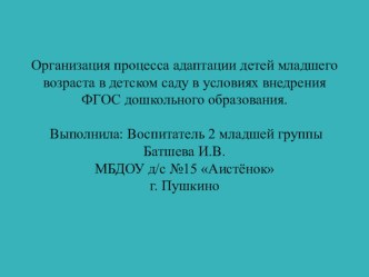 Консультация для родителей Организация процесса адаптации в детском саду консультация (младшая группа)