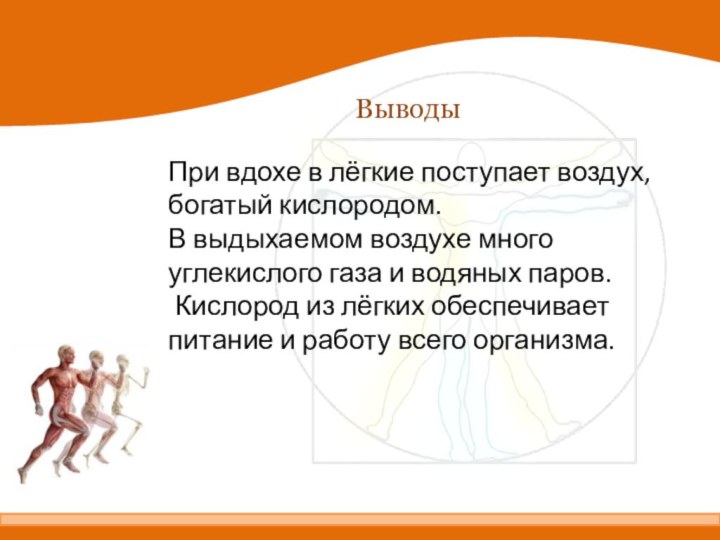 ВыводыПри вдохе в лёгкие поступает воздух, богатый кислородом. В выдыхаемом воздухе много