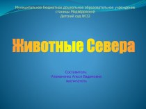 животные севера презентация к уроку по окружающему миру (подготовительная группа)