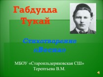 презентация стихотворения Весна Г.Тукая презентация