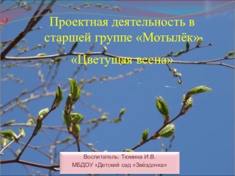 Проектная деятельность в старшей группе Цветущая весна проект по окружающему миру (старшая группа) по теме