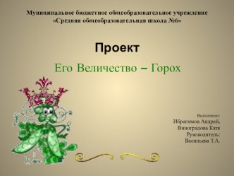 Его величество - горох проект по окружающему миру (старшая, подготовительная группа)