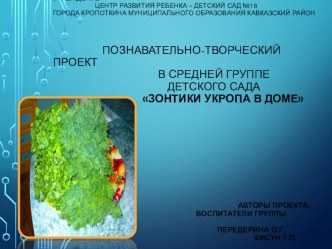 Презентация проекта Зонтики укропа в доме. презентация к уроку (средняя группа)