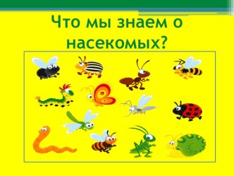 Презентация Что мы знаем о насекомых? презентация к уроку по окружающему миру (старшая, подготовительная группа)