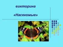 Викторина НАСЕКОМЫЕ презентация к уроку (4 класс)