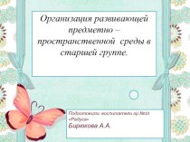 Организация развивающей предметно – пространственной среды в старшей группе. презентация к уроку (старшая группа)