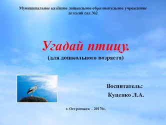 Презентация Угадай птицу презентация к уроку по окружающему миру (средняя группа)