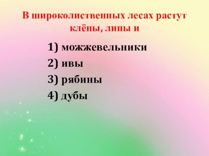 В широколиственных лесах растут клёны, липы и 1) можжевельники2) ивы3) рябины4) дубы