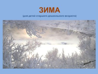 Пришла Зима презентация к уроку по окружающему миру (средняя группа)