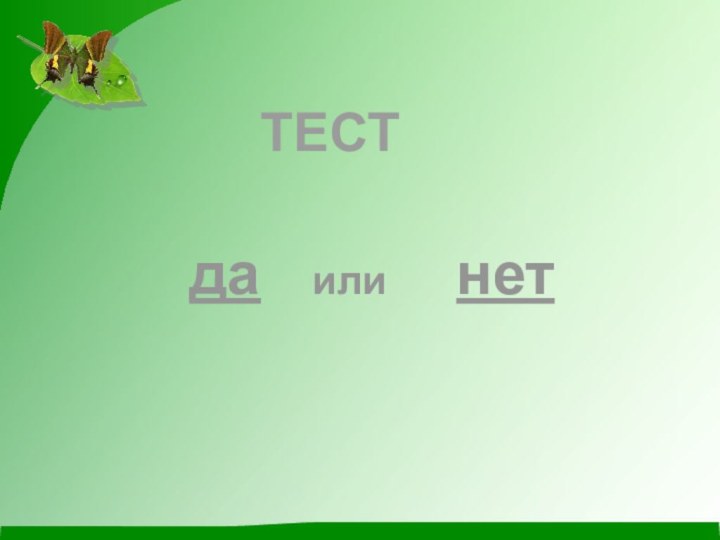 ТЕСТда		 или		 нет