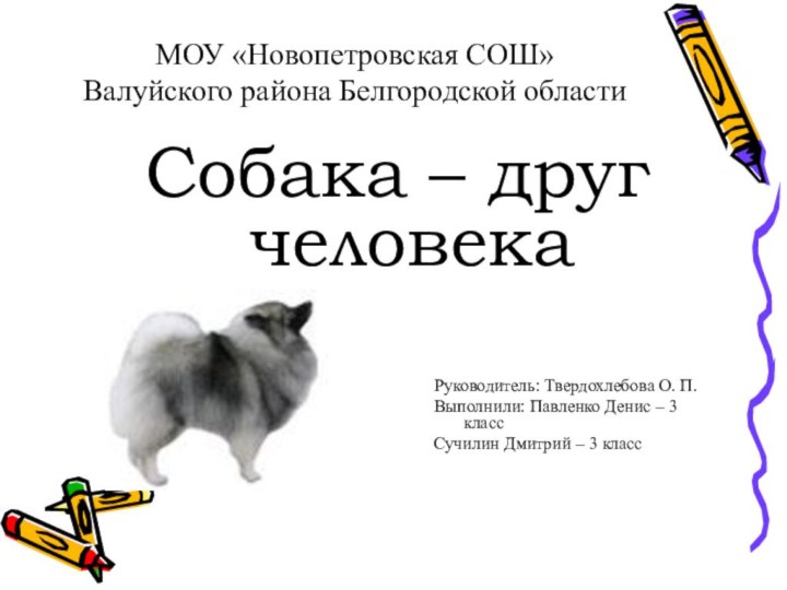 МОУ «Новопетровская СОШ» Валуйского района Белгородской областиСобака – друг человекаРуководитель: Твердохлебова О.