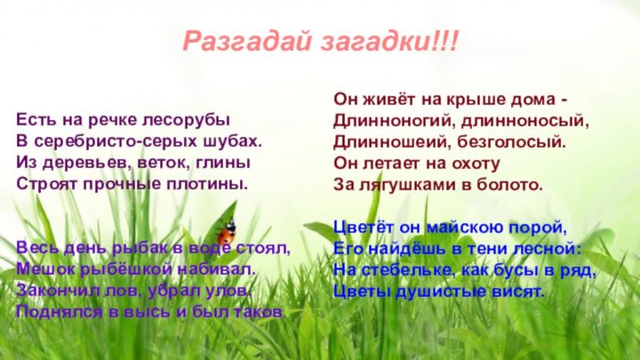 Есть на речке лесорубы В серебристо-серых шубах. Из деревьев, веток, глины Строят