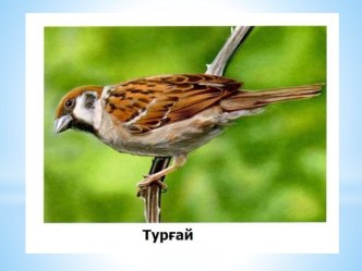 Башкирский язык презентация к уроку