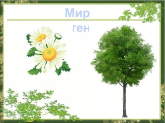 урок окружающий мир 1 класс презентация к уроку по окружающему миру (1 класс) по теме