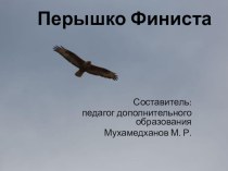 Цикл занятий Путешествия по природным зонам в рамках реализации дополнительной общеразвивающей программы Школьное лесничество; Тропинка.Часть 2. Знакомство с природной зоной Степь план-конспект занятия по окружающему миру (2, 3, 4 класс)