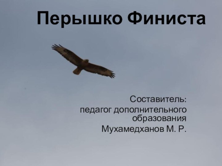 Перышко ФинистаСоставитель:педагог дополнительного образованияМухамедханов М. Р.